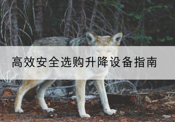 管城升降货梯厂家推荐-*安全选购升降设备指南