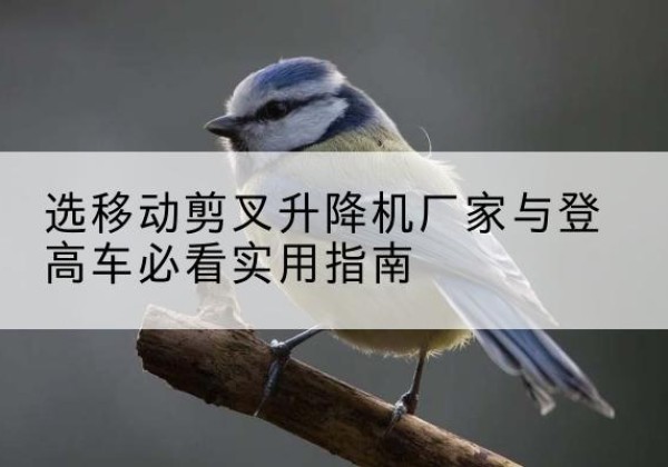 管城电动升降机厂家-选移动剪叉升降机厂家与登高车必看实用指南
