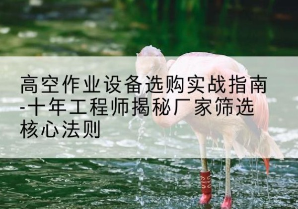 管城剪叉式升降机厂家-高空作业设备选购实战指南-十年工程师揭秘厂家筛选核心法则
